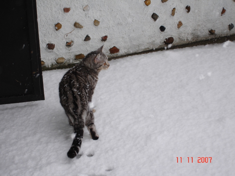 DSC01821.jpg