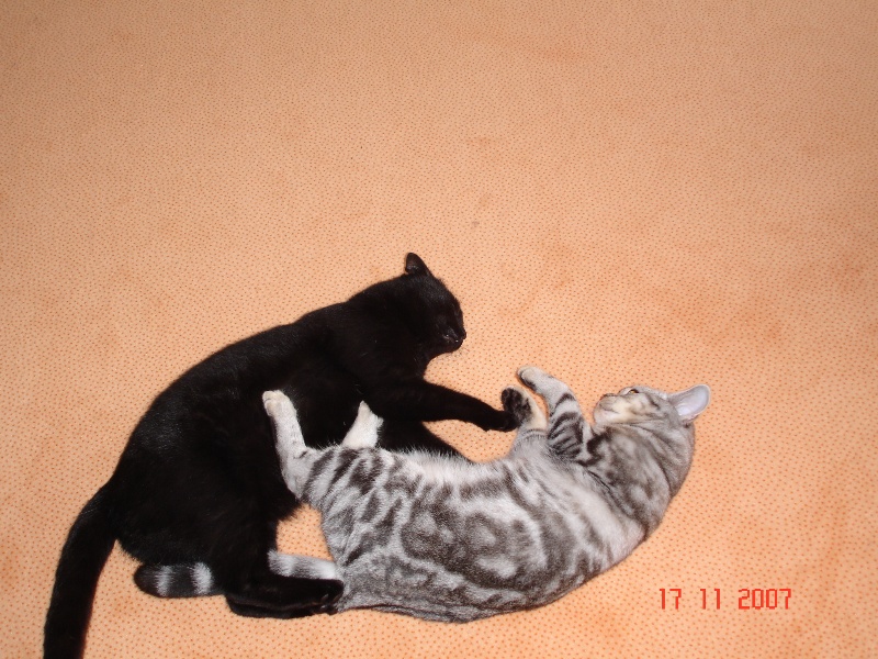 DSC01825.jpg