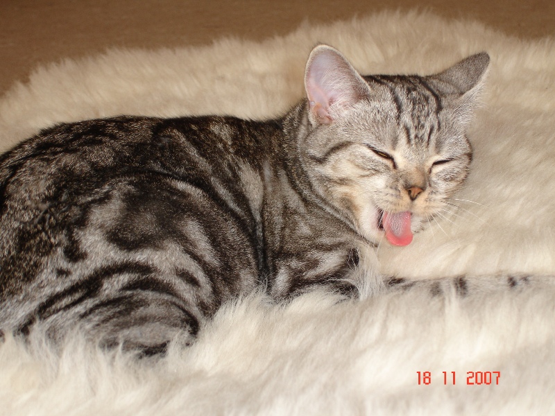DSC01826.jpg
